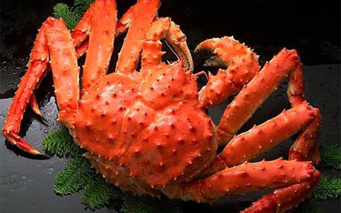 Suất cơm hộp buổi trưa 63 triệu: Giá chát khiến chị em xôn xao