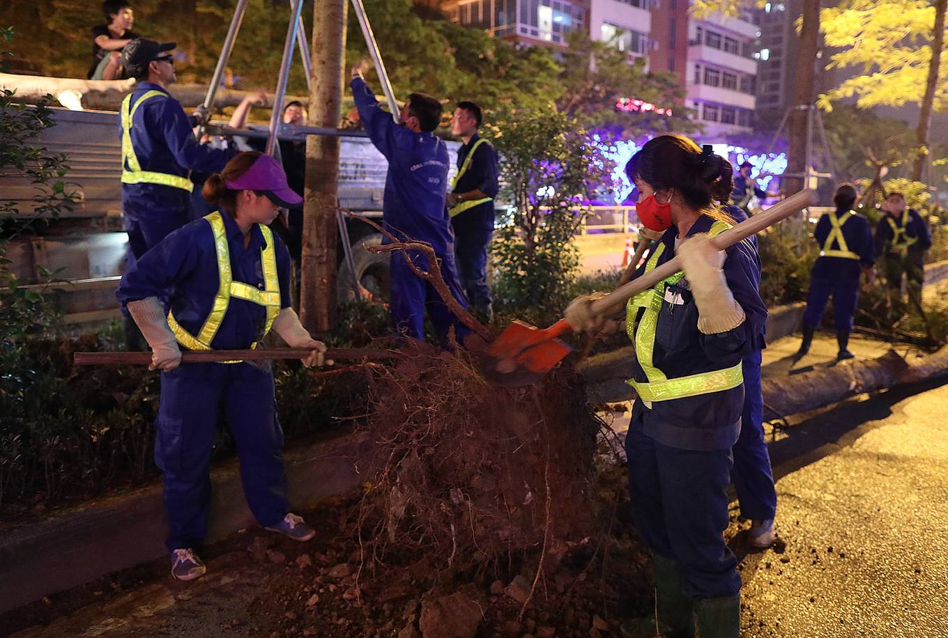 Công nhân trắng đêm thay thế cây xanh sâu mục ở Hà Nội