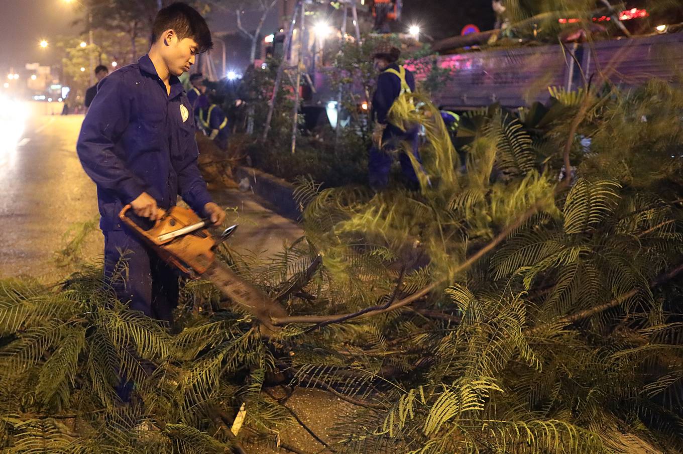 Công nhân trắng đêm thay thế cây xanh sâu mục ở Hà Nội