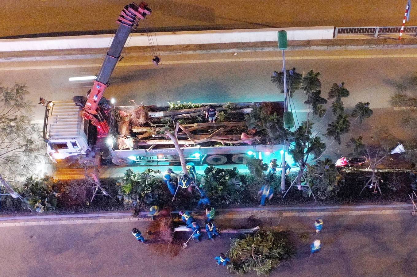 Công nhân trắng đêm thay thế cây xanh sâu mục ở Hà Nội