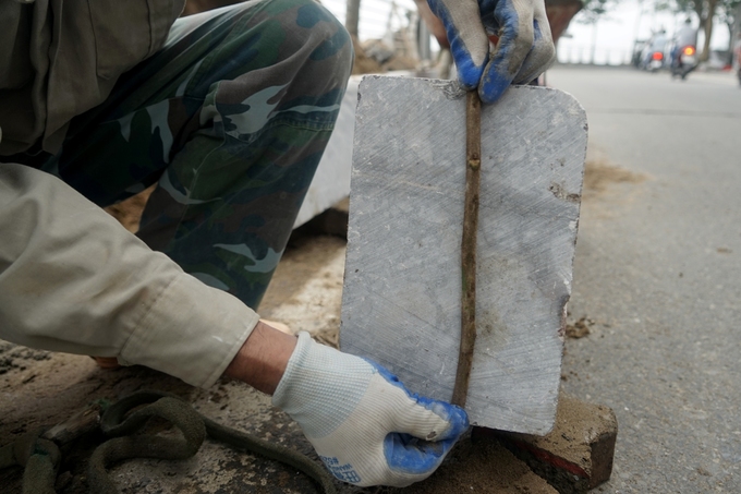 Video - Ảnh: Công nhân lát gạch mới nhiều tuyến vỉa hè ở Hà Nội