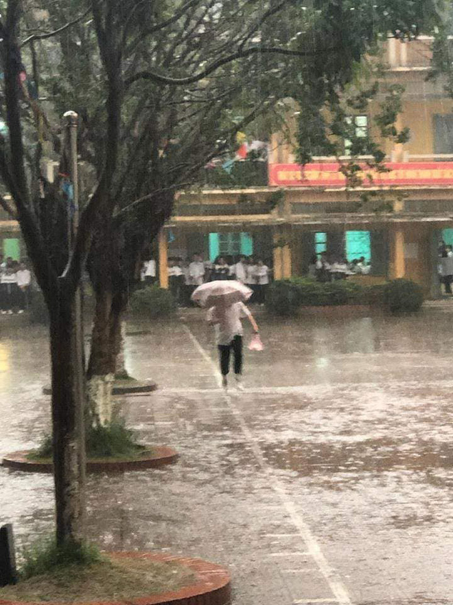 Giữa ngập tràn drama của làng giải trí và xã hội, hình ảnh cậu bạn đội mưa mua bữa sáng cho người thương khiến bao con tim lỗi nhịp