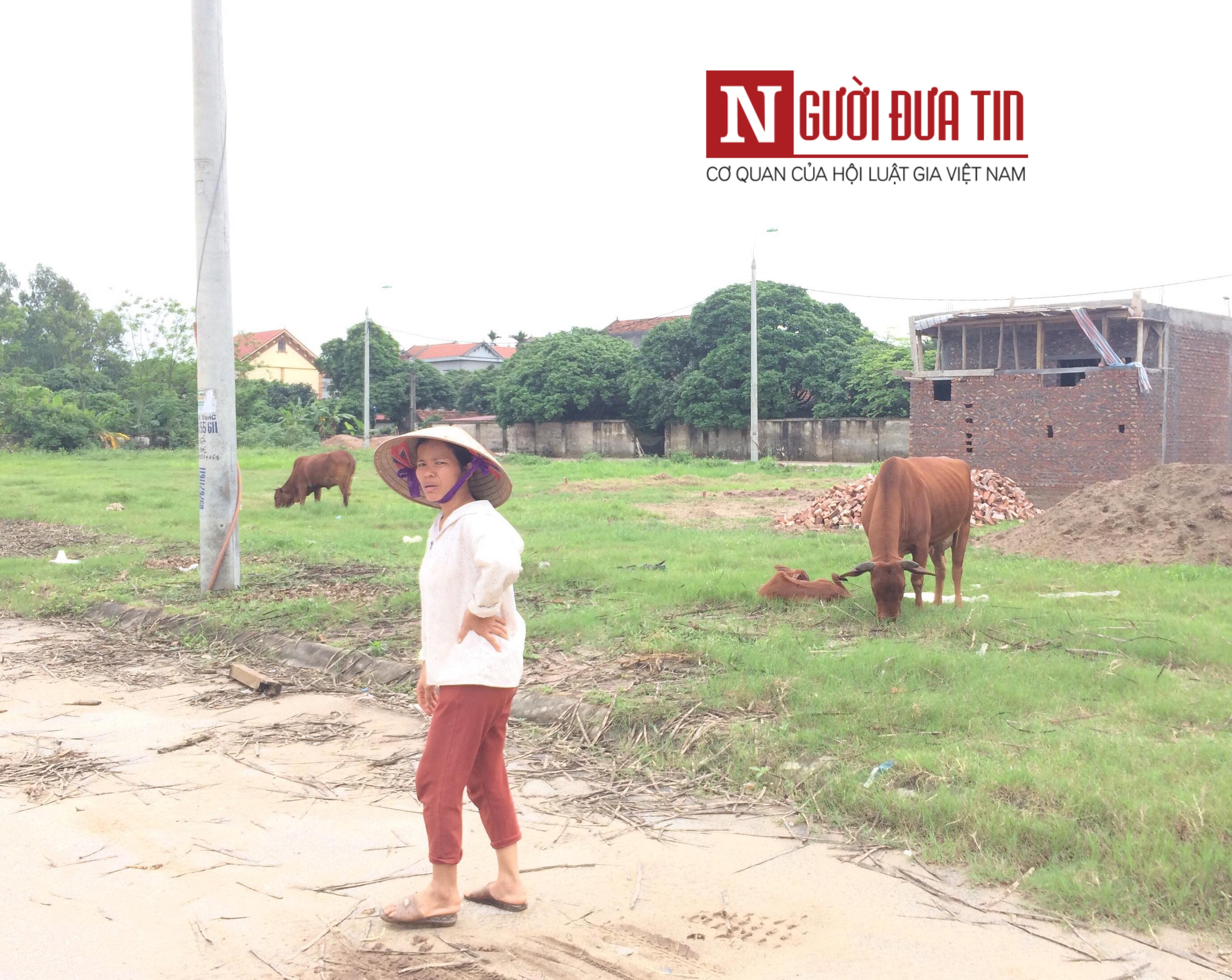 Vụ chó cắn chết cháu bé ở Hưng Yên: Đàn chó từng cắn nhiều người và gia súc, chủ đàn chó coi thường cảnh báo
