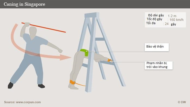 Sinh viên Việt bị phạt tù và 4 roi vì sống chui 10 năm ở Singapore
