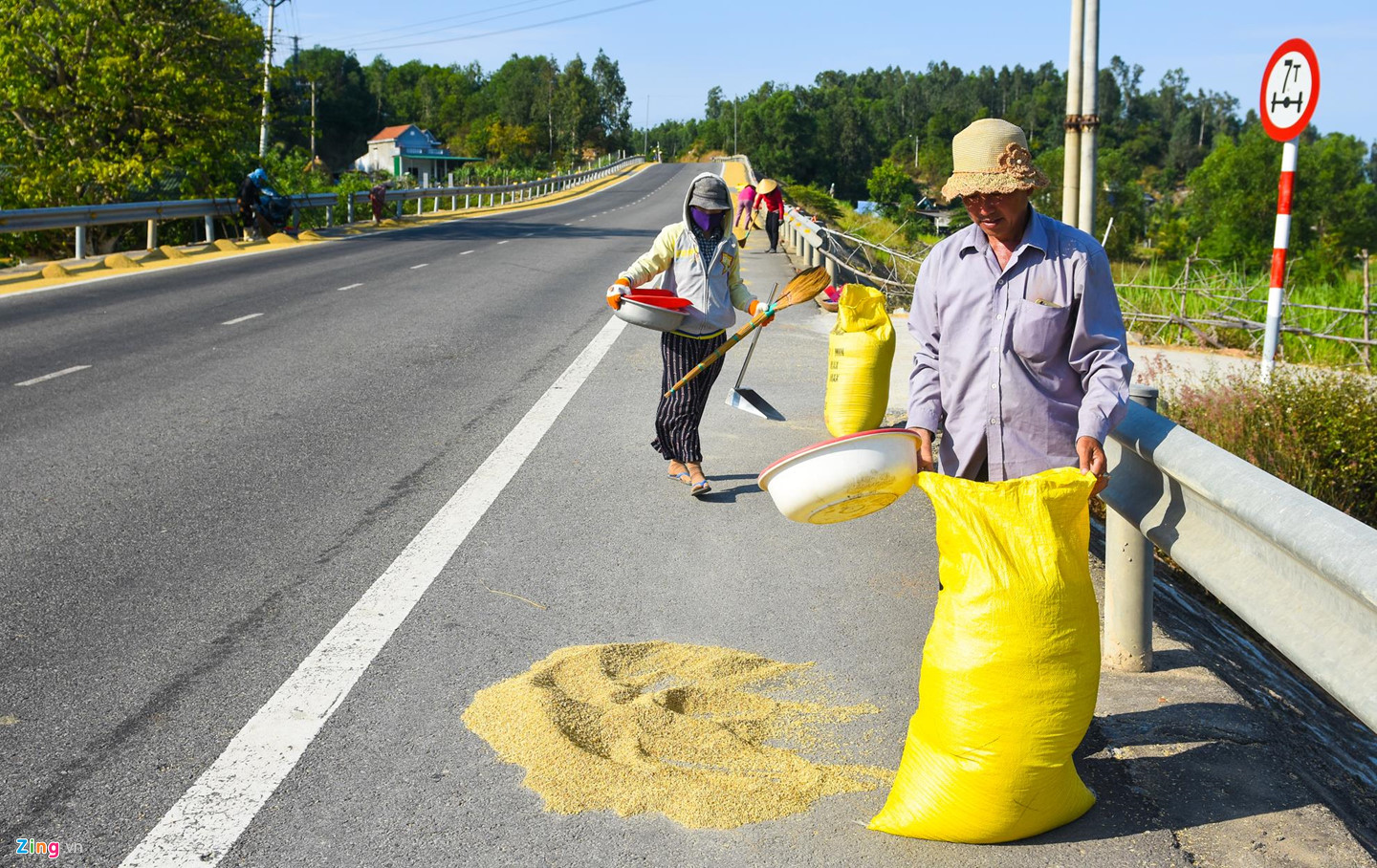 Dân phơi lúa tràn lan trên quốc lộ 1