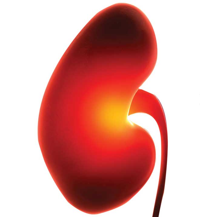 Ở mắt và chân tay có những dấu hiệu này, bạn nên đi kiểm tra xem thận có bị suy yếu không?