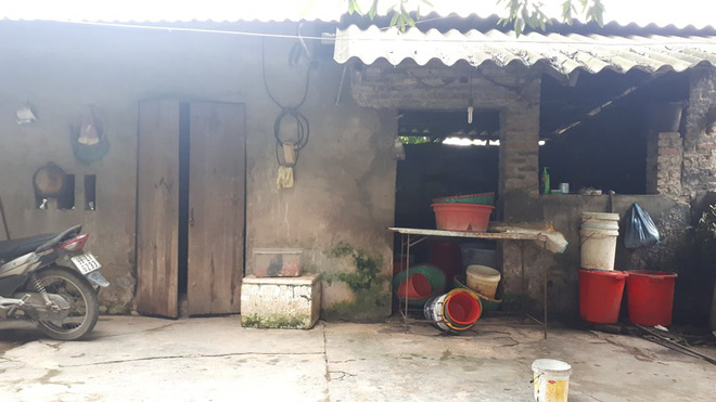 Chủ đàn chó cắn bé trai 7 tuổi tử vong: Nuôi chó để vui cửa vui nhà, sự việc xảy ra tôi cũng ân hận lắm