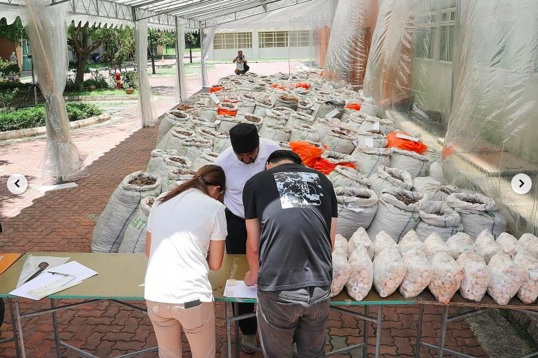 Singapore bắt lô hàng vảy tê tê đang chuyển về VN trị giá 895 tỷ Singapore bắt lô hàng vảy tê tê đang chuyển về VN trị giá 895 tỷ