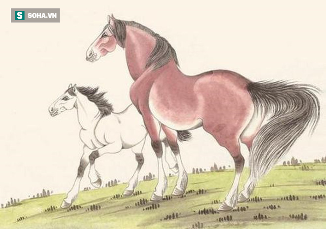 4 con giáp phạm tự hình, lấy người cùng tuổi dễ bất hòa, làm ăn khó phát