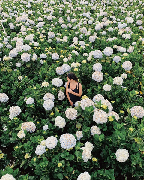 Đừng dại chen chân đến 6 điểm du lịch này vào dịp nghỉ lễ