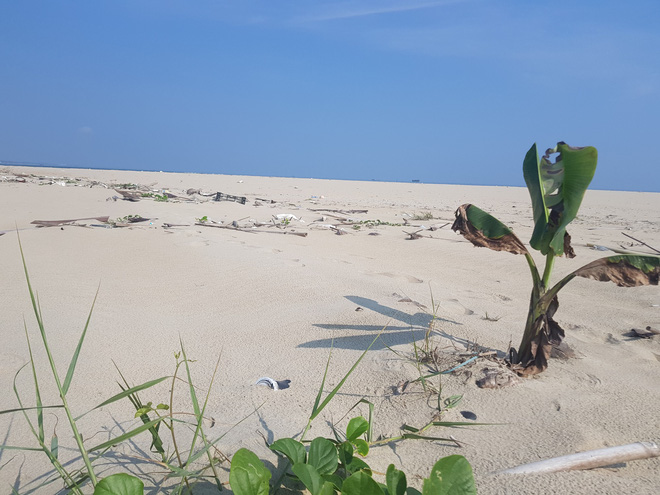 Cận cảnh hòn đảo lạ mới xuất hiện ngoài biển khiến chính quyền Quảng Nam lúng túng