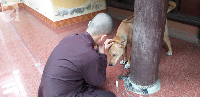 Sự thật những đứa trẻ cần được giải thoát vì bị sư trụ trì hành hạ, đánh đập tàn bạo mỗi tối ở Hà Nội