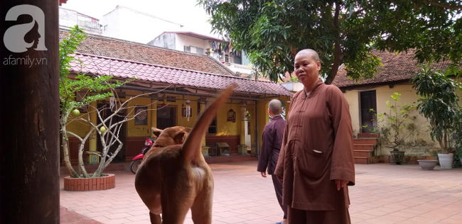 Sự thật những đứa trẻ cần được giải thoát vì bị sư trụ trì hành hạ, đánh đập tàn bạo mỗi tối ở Hà Nội