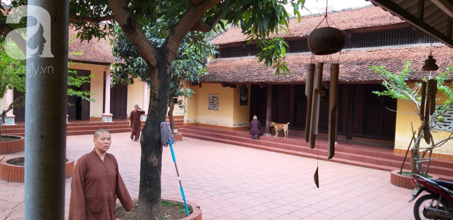 Sự thật những đứa trẻ cần được giải thoát vì bị sư trụ trì hành hạ, đánh đập tàn bạo mỗi tối ở Hà Nội