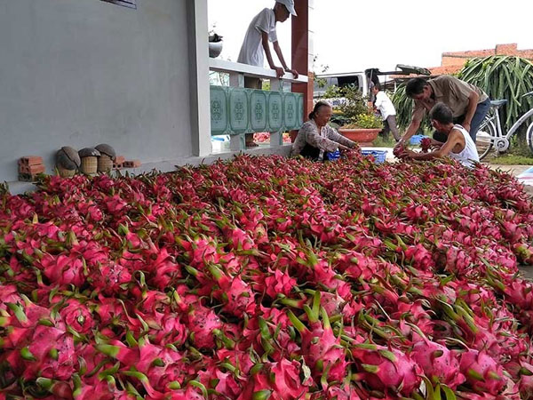 Trung Quốc gây biến động, vạn gia đình Việt bất an