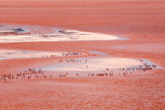 Mù Cang Chải lọt vào top địa điểm sắc màu nhất thế giới