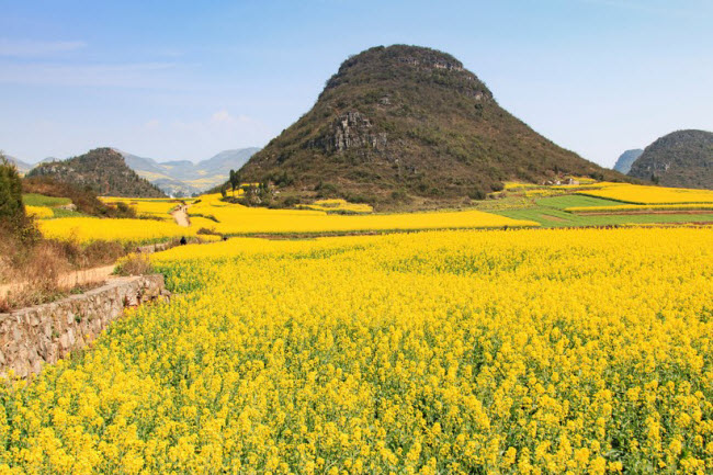 Mù Cang Chải lọt vào top địa điểm sắc màu nhất thế giới