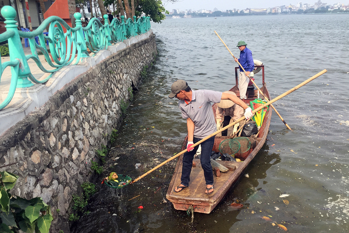 Cá chết dạt vào ven hồ Tây