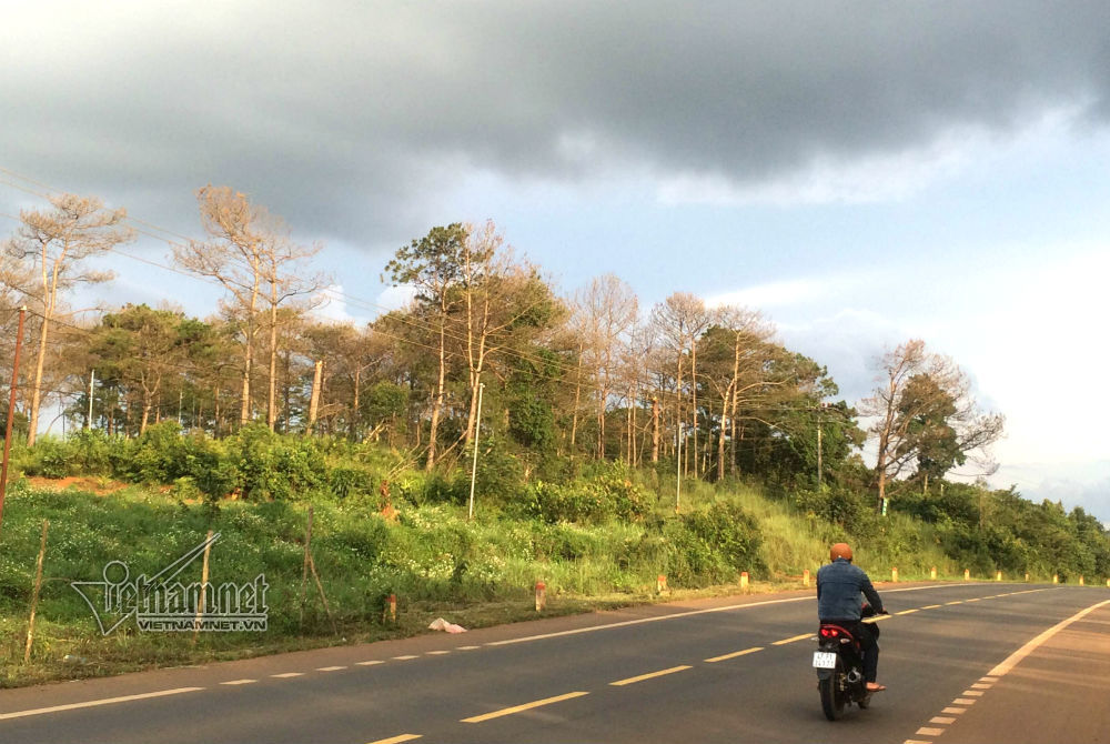 Tham nhũng 40ha đất rừng, nguyên thường vụ Tỉnh ủy nhận… huân chương lao động