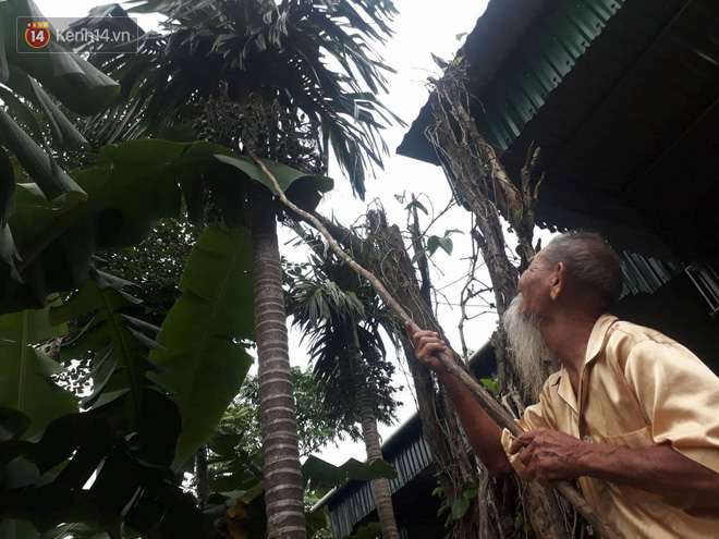 Ngưỡng mộ tình yêu ông bà anh qua 70 mùa hoa nở ở Nghệ An: Ngày kỷ niệm hay lễ lộc gì cũng phải có quà cho vợ!