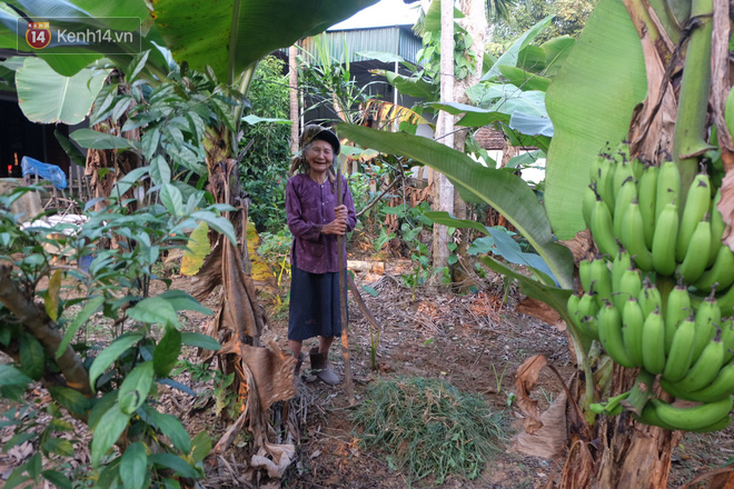 Ngưỡng mộ tình yêu ông bà anh qua 70 mùa hoa nở ở Nghệ An: Ngày kỷ niệm hay lễ lộc gì cũng phải có quà cho vợ!