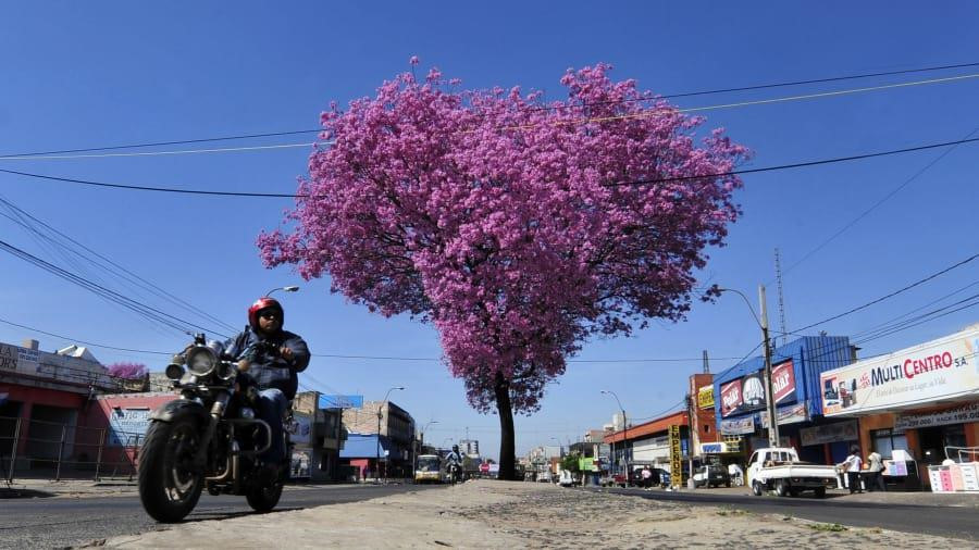 Những quốc gia có tỷ lệ người đi xe máy tử vong cao nhất thế giới