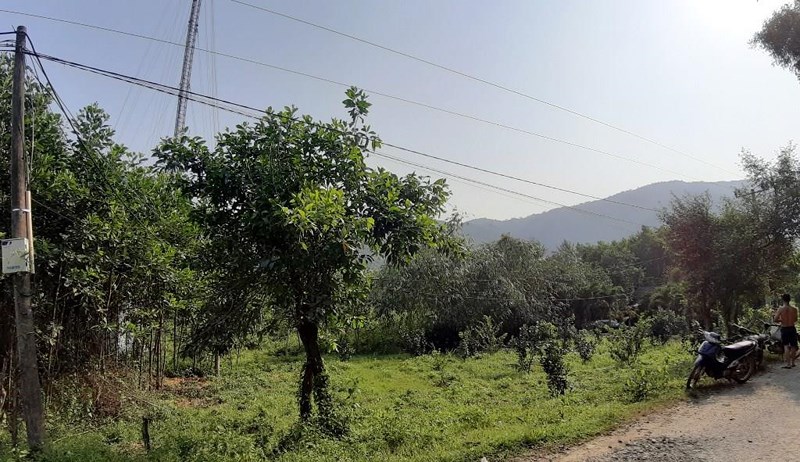 Nhân viên VNPT bị điện giật chết khi đang kéo cáp viễn thông