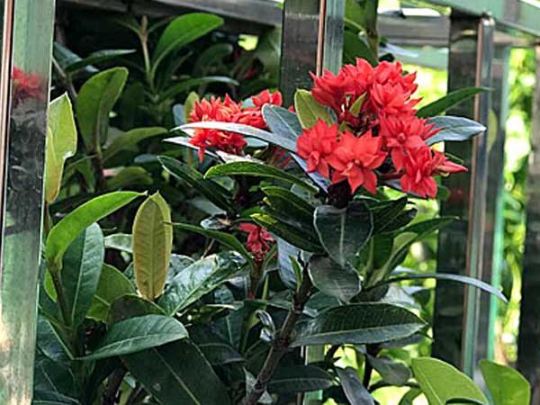 Đổi nhà 100m2 lấy nhà nhỏ bằng nửa, chúng tôi sống thoải mái hơn