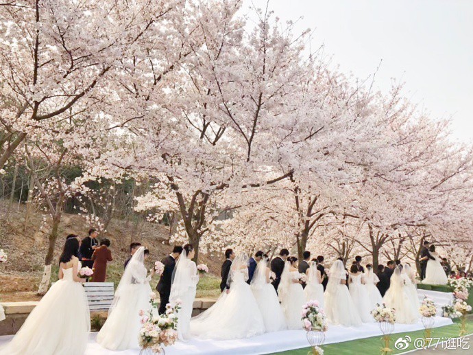 Yêu nhau từ thời đại học, 66 cặp đôi hẹn nhau quay về trường tổ chức hôn lễ tập thể lãng mạn và đẹp như mơ