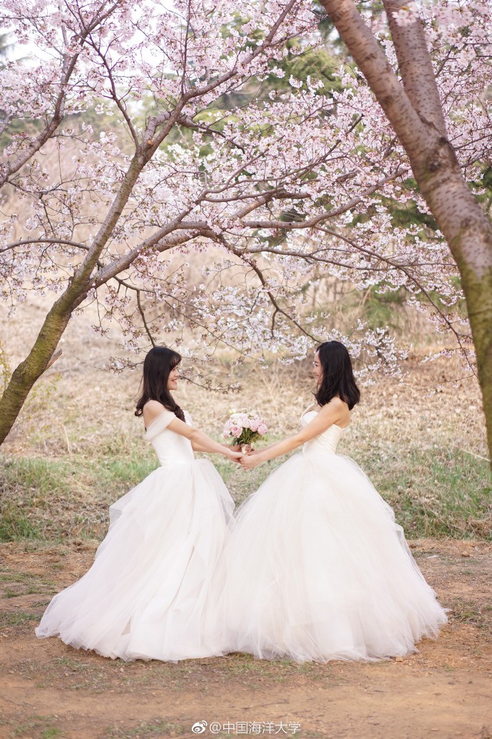 Yêu nhau từ thời đại học, 66 cặp đôi hẹn nhau quay về trường tổ chức hôn lễ tập thể lãng mạn và đẹp như mơ