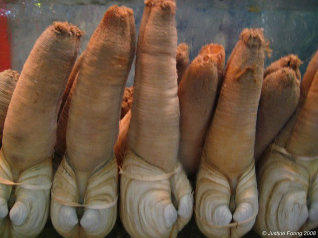 Ố vòi voi 10 triệu đồng/con có hình của quý, khách nhìn ngượng chín mặt nhưng vẫn vung tiền mua