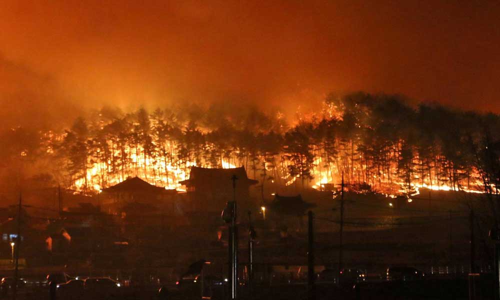 Ủng hộ tiền tỷ cho nạn nhân vụ cháy rừng thảm họa, MC quốc dân Yoo Jae Suk vẫn bị chỉ trích vì lý do không thể tin nổi