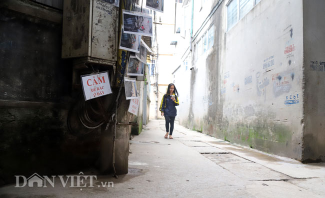 Video ảnh Ngõ nhỏ Hà Nội quá gắt: Dán đầy ảnh nguời đổ rác trộm