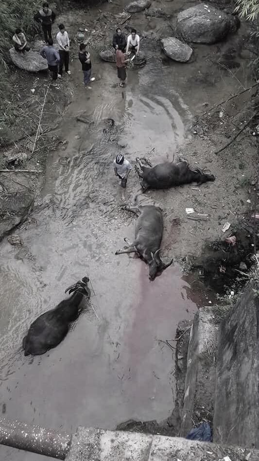 Xe tải đâm gãy thành cầu, rơi thẳng xuống suối: Ảnh hiện trường lan nhanh trên MXH