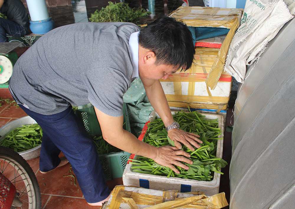 Cặp vợ chồng 20 năm giữa đảo hoang, mỗi ngày 2 tạ rau bí bán khắp Hà Nội