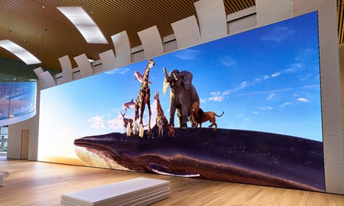 Màn hình Sony 16K to bằng bốn chiếc xe buýt