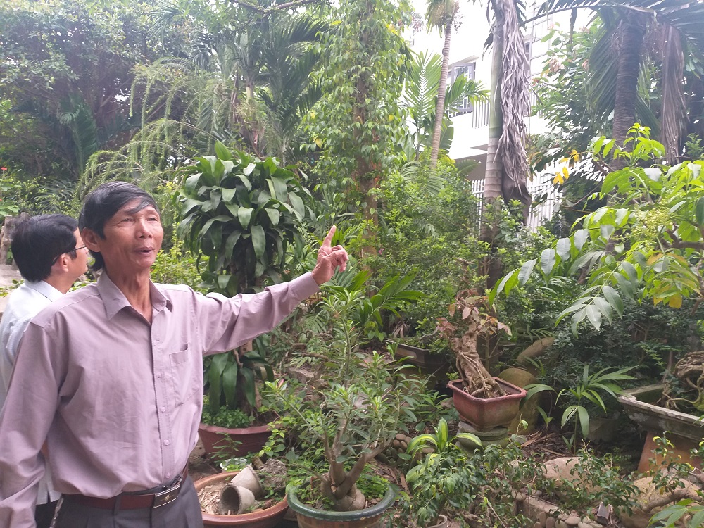 Đà Nẵng: Giật mình khi đền bù mỗi m2 đất vàng bằng... ký cá nục