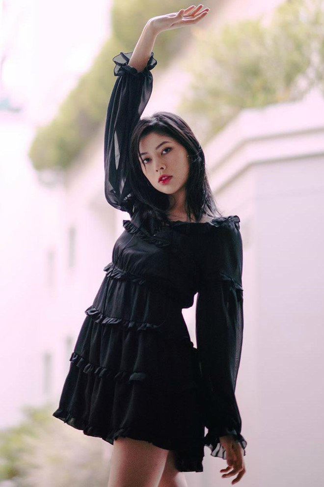 Vẻ cuốn hút của những đóa hồng lai Nhật Bản