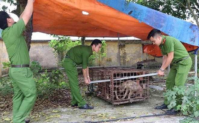 Thông tin mới vụ bé trai 7 tuổi bị đàn chó cắn tử vong