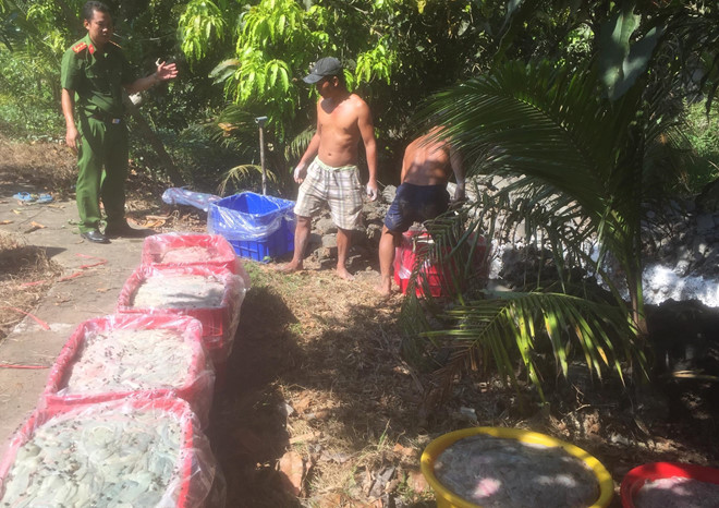 Bắt xe tải chở 700 kg nội tạng hôi thối mang về miền Tây