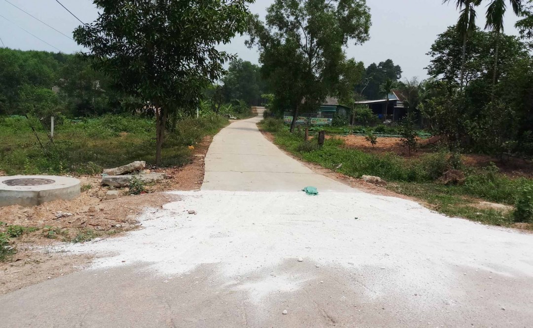 Lại xuất hiện ổ dịch tả lợn châu Phi thứ 3 ở Huế