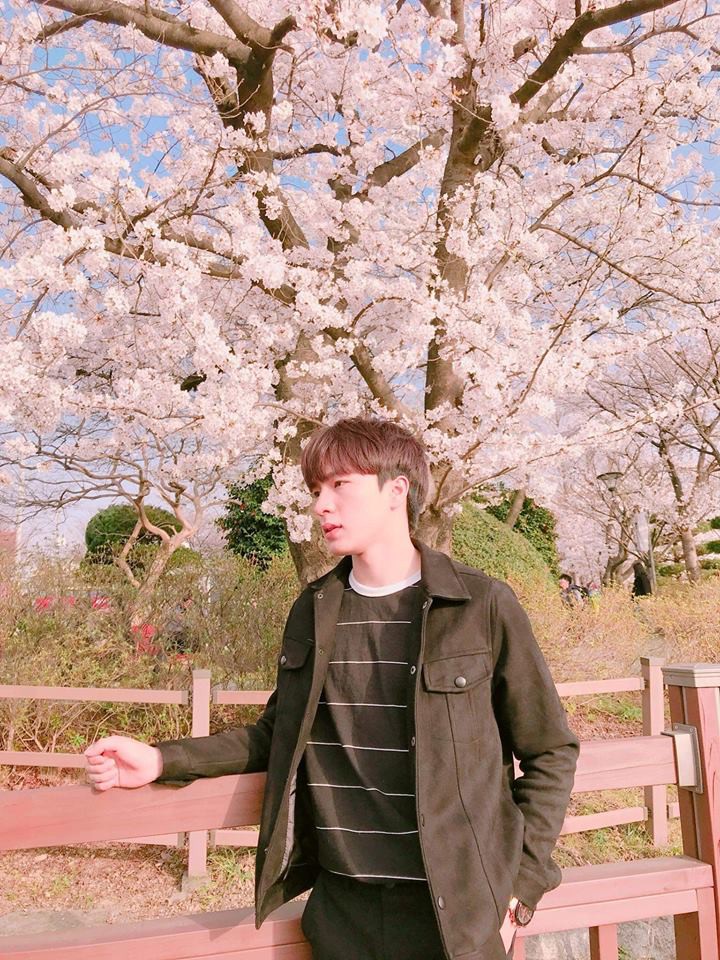 Chàng du học sinh Việt với nhan sắc cực phẩm giống hệt Lee Min Ho, được chính người Hàn trầm trồ vì quá đẹp trai