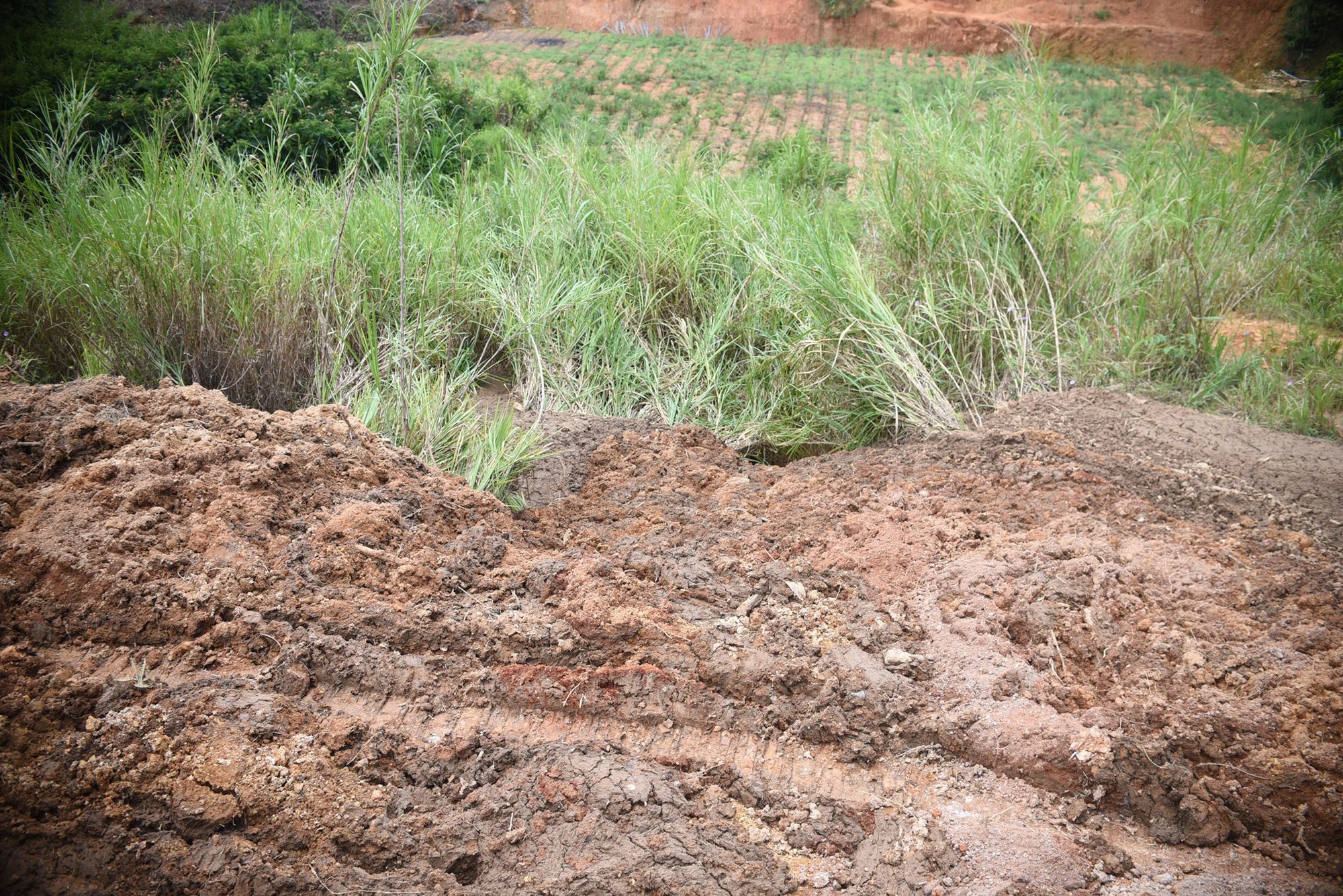 Đà Lạt: Hàng trăm m3 bùn thải đổ xuống suối Prenn, 40 hộ dân điêu đứng vì thiếu nước tưới tiêu