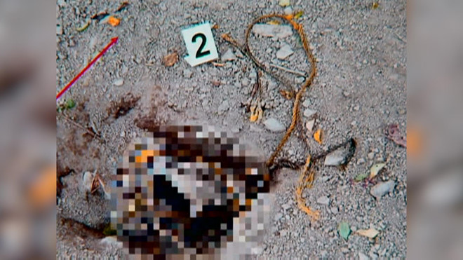 Manh mối phá vụ chôn sống nam thanh niên từ đàn chó hoang