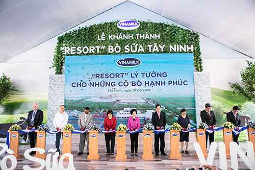 Ra mắt Resort bò sữa tại Tây Ninh, Vinamilk chính thức sở hữu hệ thống trang trại chuẩn Global G.A.P lớn nhất Châu Á
