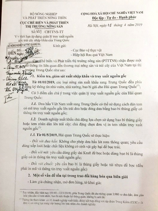 Dưa hấu dán tem Trung Quốc: Đúng mã vạch 893 của Việt Nam