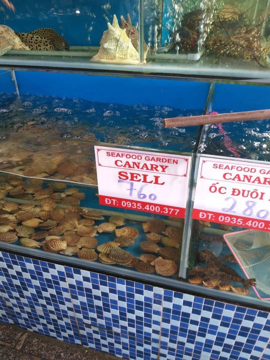 Thanh tra nói gì về việc khách tố chém đẹp với đĩa sò điệp 680 ngàn đồng?