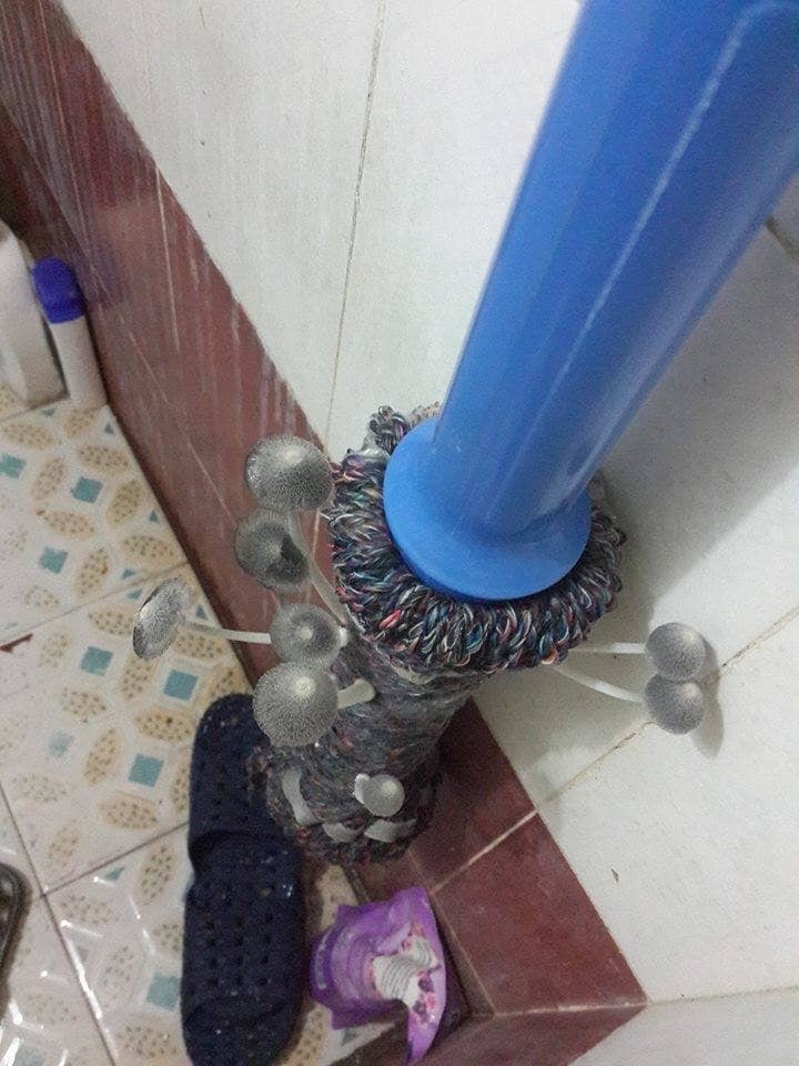 Cộng đồng mạng xôn xao trước hình ảnh nấm mọc ra từ gậy lau nhà: Bằng chứng hùng hồn của việc gái xinh ở bẩn Cộng đồng mạng xôn xao trước hình ảnh nấm mọc ra từ gậy lau nhà: Bằng chứng hùng hồn của việc gái xinh ở bẩn