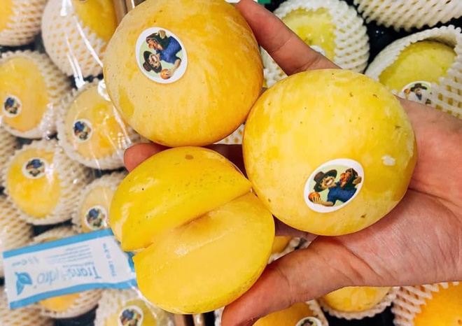 Mận vàng giá 50.000 đồng/quả có gì đặc biệt khiến nhà giàu Hà Nội săn lùng?