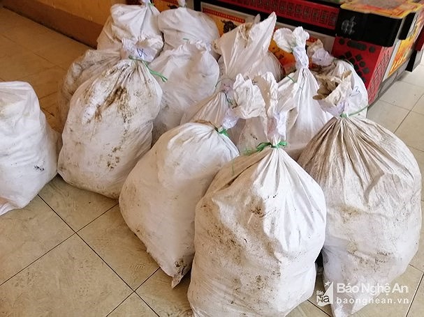 Vụ bắt 3 đối tượng, 700kg ma túy đá: Đối tượng người nước ngoài cầm đầu